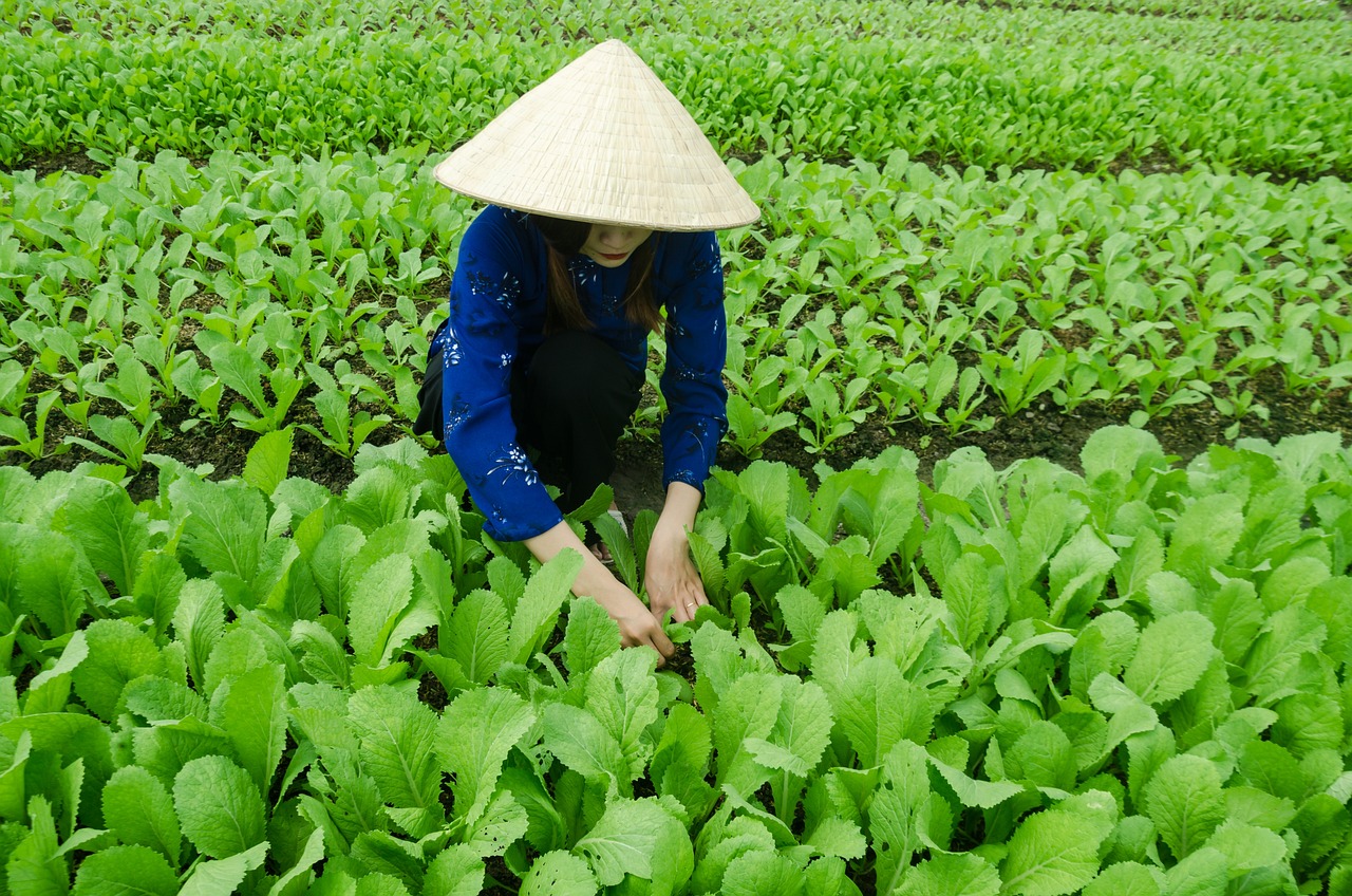 查干湖风景区最新消息，查干湖风景区最新动态及未来发展规划介绍