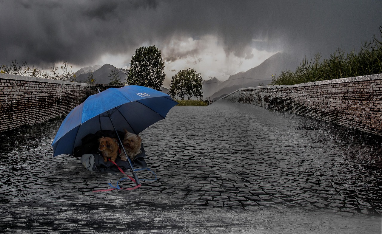 贵阳终结 15 天阴雨·相继追踪，贵阳告别连续15天阴雨天气